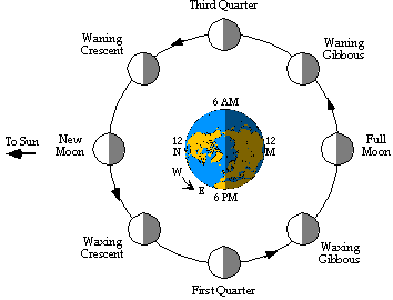 Moon Phases